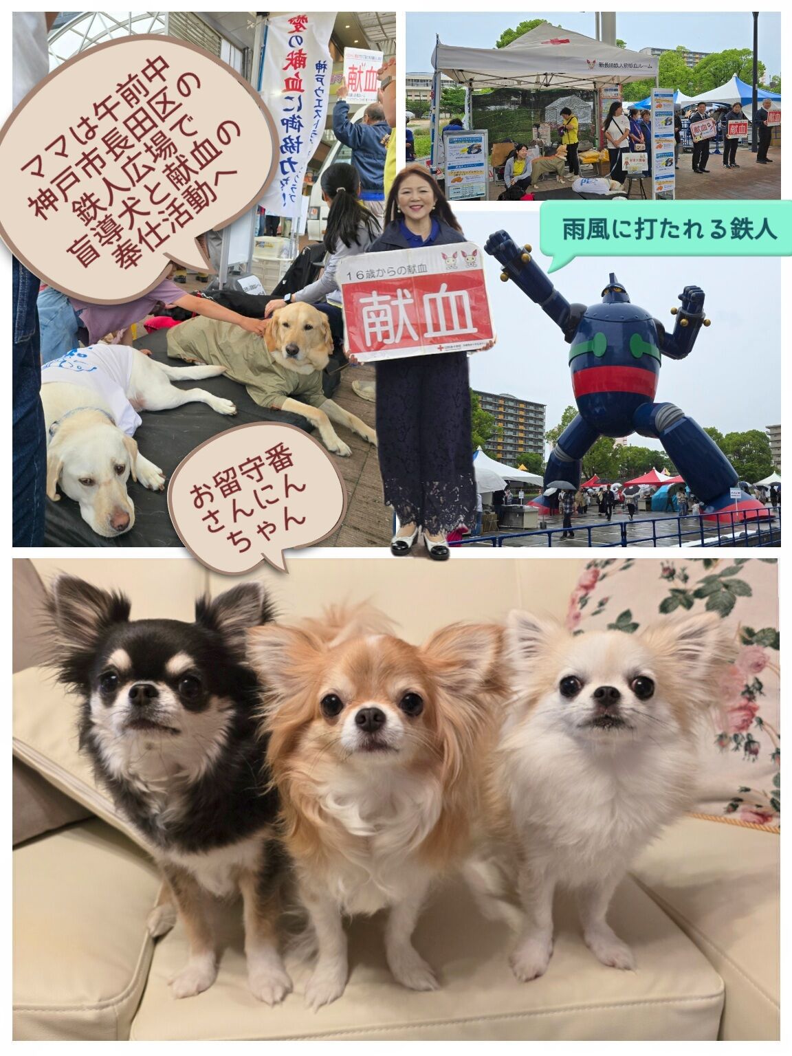 「盲導犬」「献血」の奉仕活動からも自分の仕事である「ボイストレーニング」に繋がるなんて！